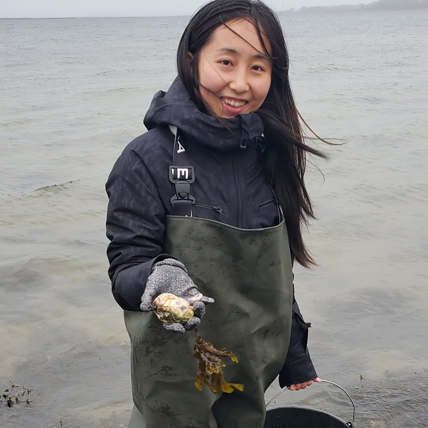 Østers- & Blåmuslingesafari og Bålmad med The Shepherd