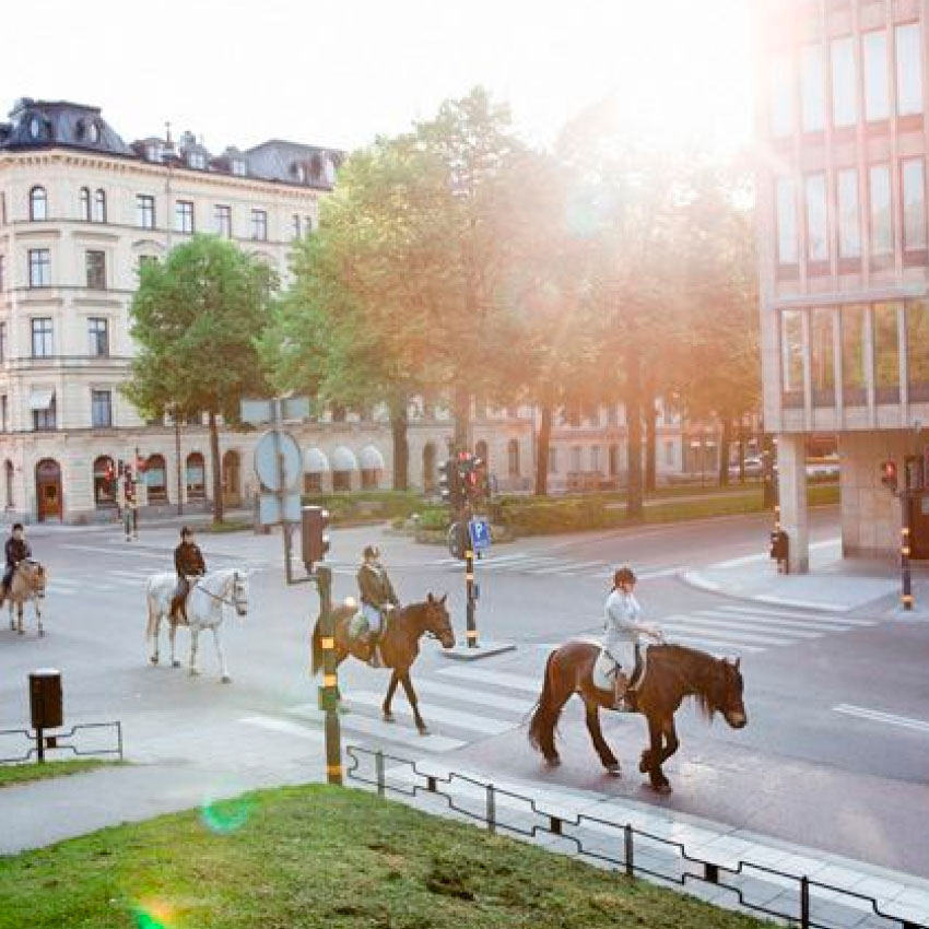 Gryningsritt i Stockholm med Häståkeriet