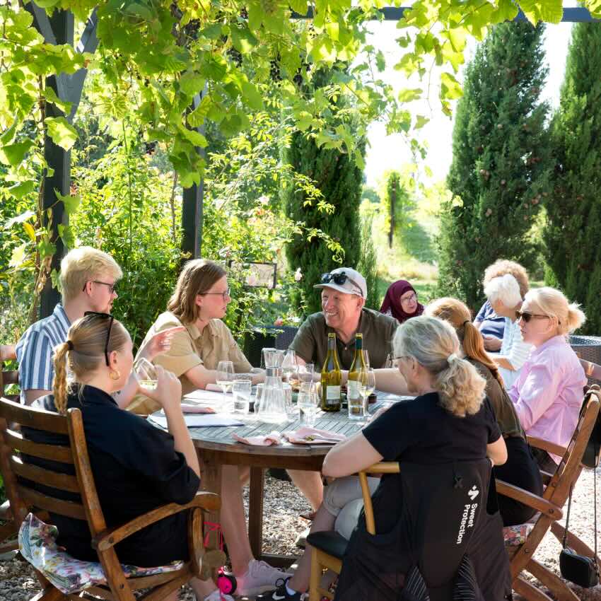 Rundvisning og vinsmagning på Hideaway Vingård