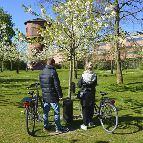 Guidet cykeltur gennem Aalborg med Aalborg Tours