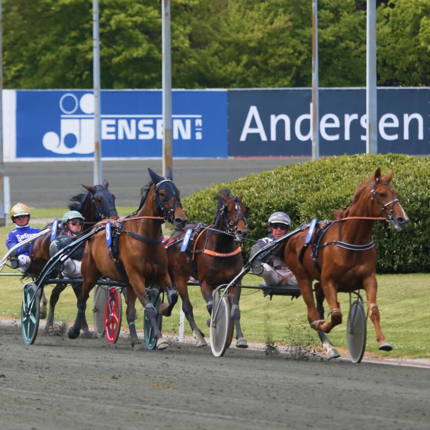 Rundvisning, middag og travløb på Charlottenlund Travbane