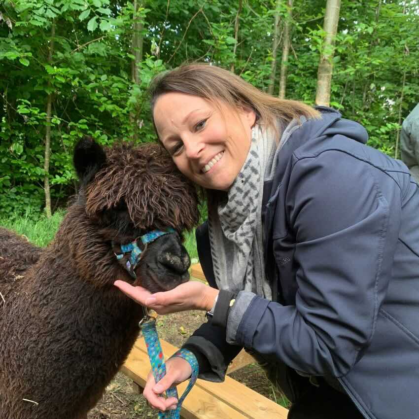VIP Alpaca Gåtur for to hos Bondegården Bækgården