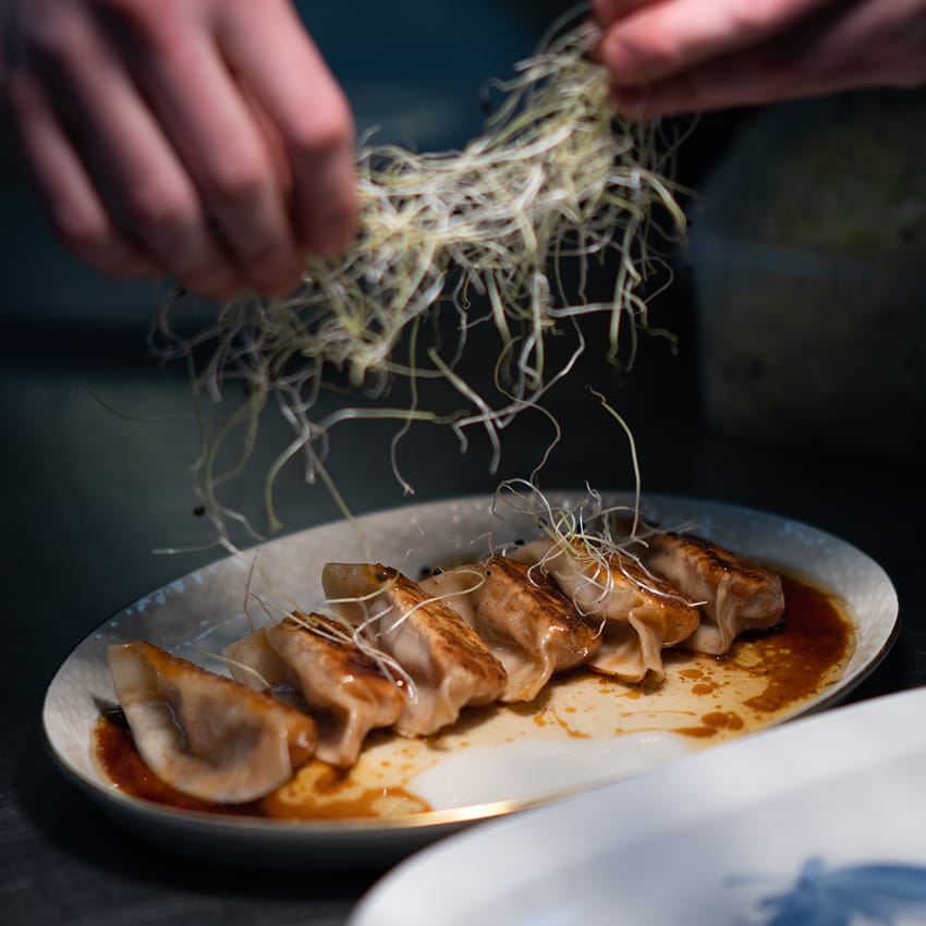 Gyozaworkshop hos Shima