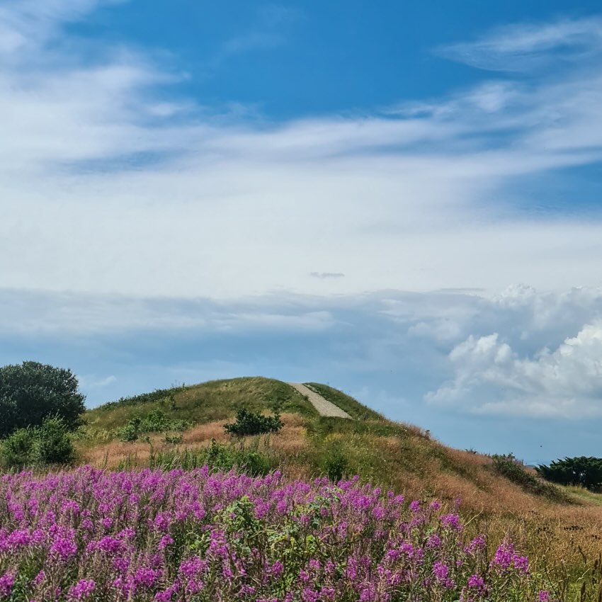 Nytårsvandretur & vinsmaging i Mols Bjerge med Aros Adventure