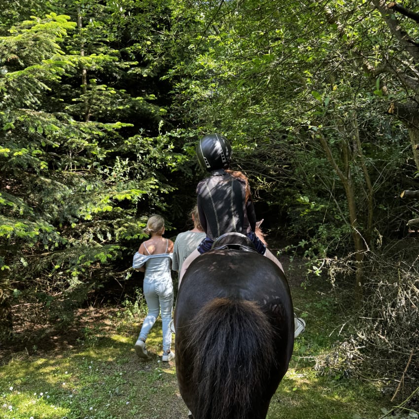 Ridetur for børn og unge hos Soemmi