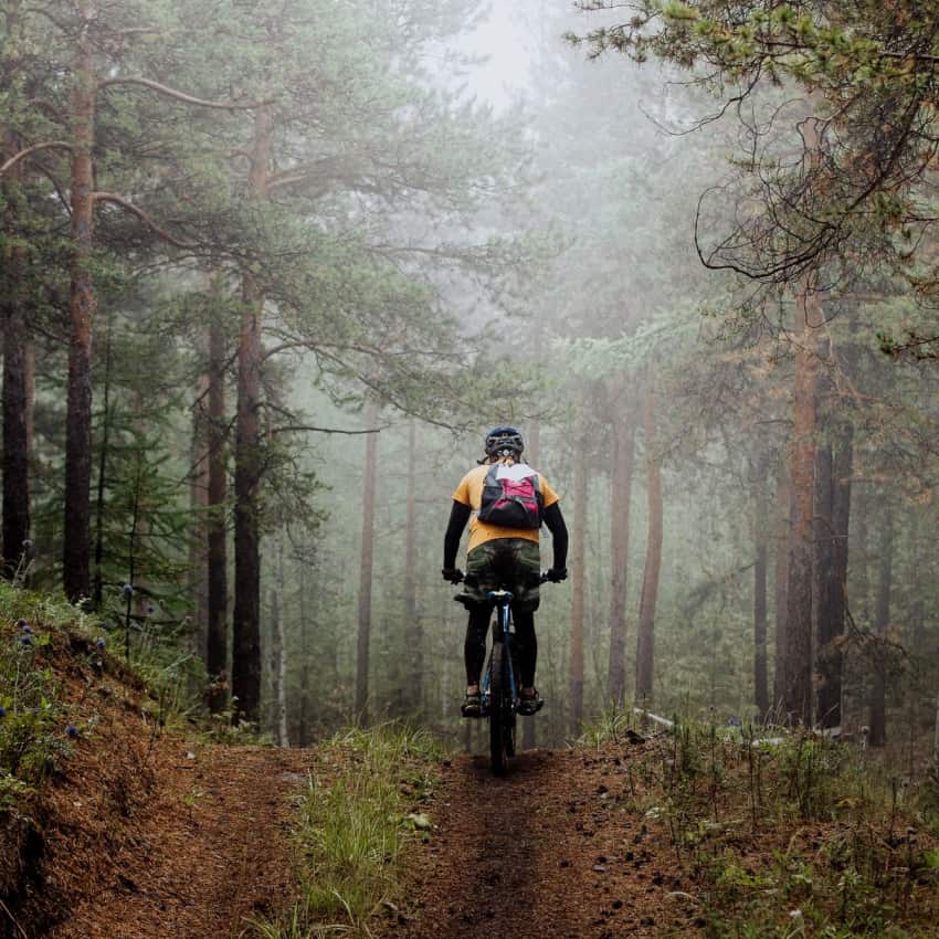 Mountainbike i Stockholms natur med True Nature Sweden
